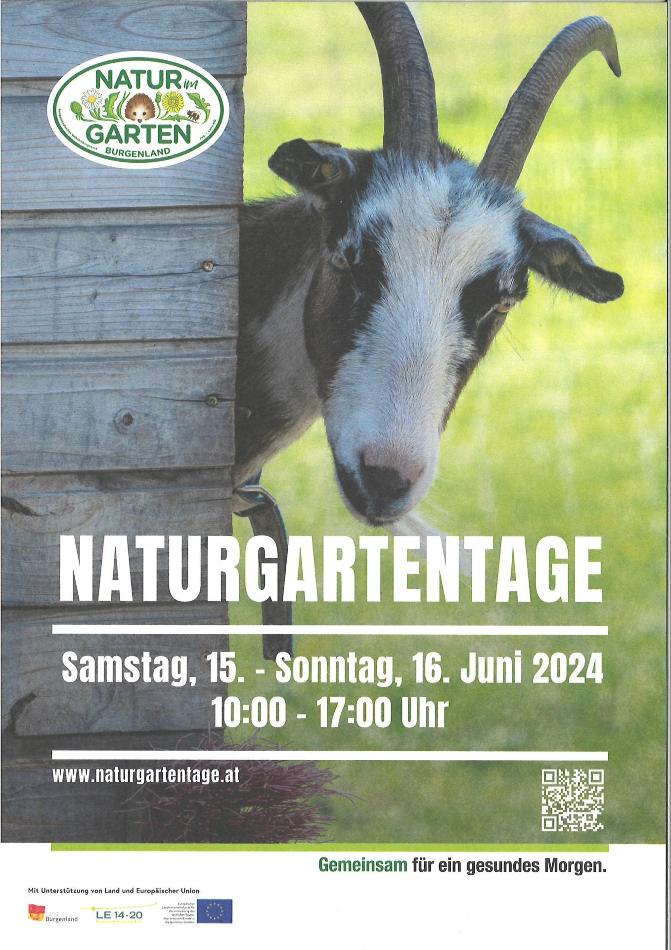 Mehr über den Artikel erfahren Naturgartentage Burgenland am 15. und 16. Juni 2024